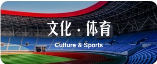 文化体育 Culture and Sports